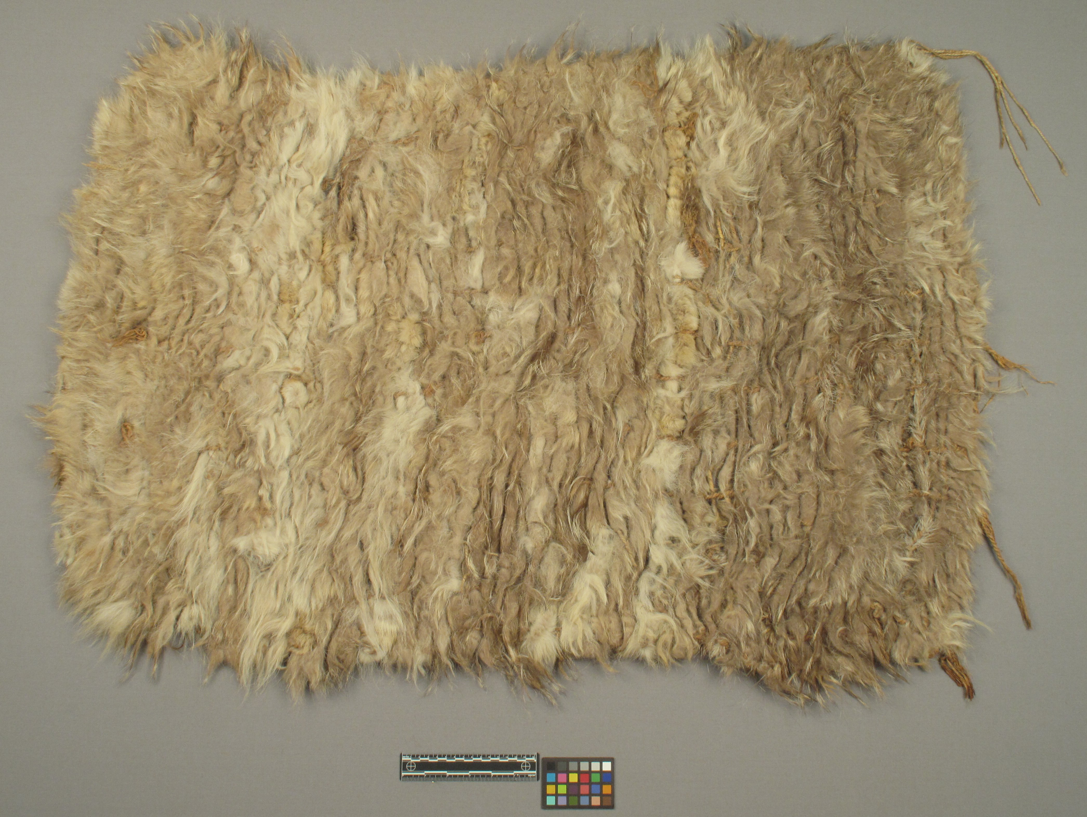 RRN - Items - The NMNH: E1895-0 - Robe Of Fur And Bark Cordage