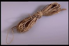 Sinew String 